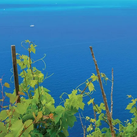 One-bedroom In شقة أوروبيتش