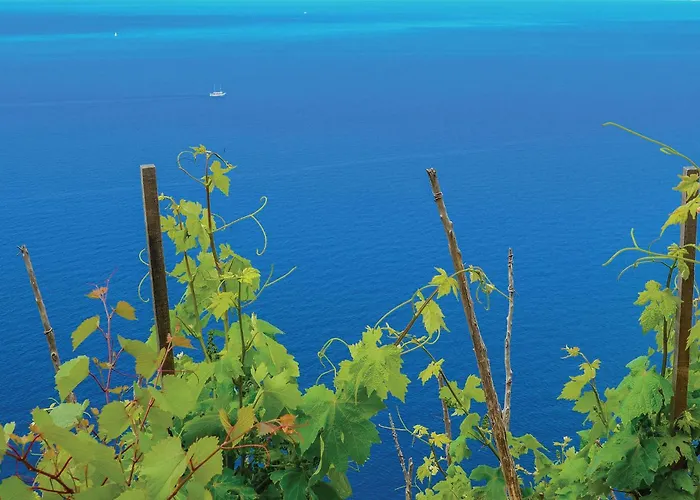 One-bedroom In 아파트 오레비츠